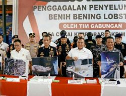 Bareskrim Polri Gagalkan Penyelundupan 151 Ribu Benih Lobster di Perairan Bintan.