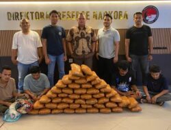 Polisi Gagalkan Peredaran 47 Kg Ganja di Sumbar, 4 Tersangka Ditangkap.